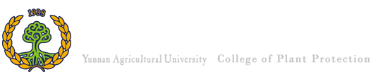 伟德国际1946源于英国